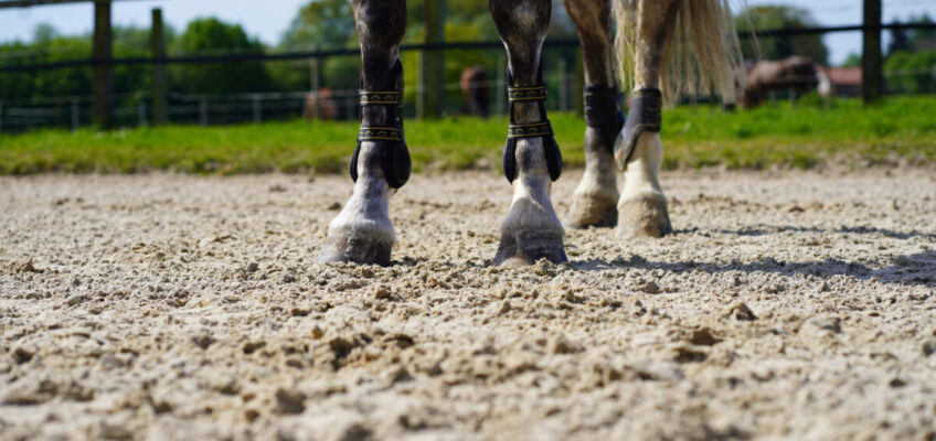 Die Reitsand GmbH, der Partner hunderter Stallbetreiber