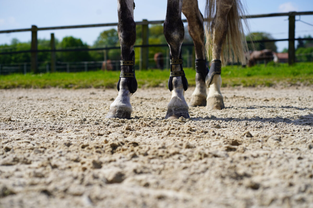 Die Reitsand GmbH, der Partner hunderter Stallbetreiber