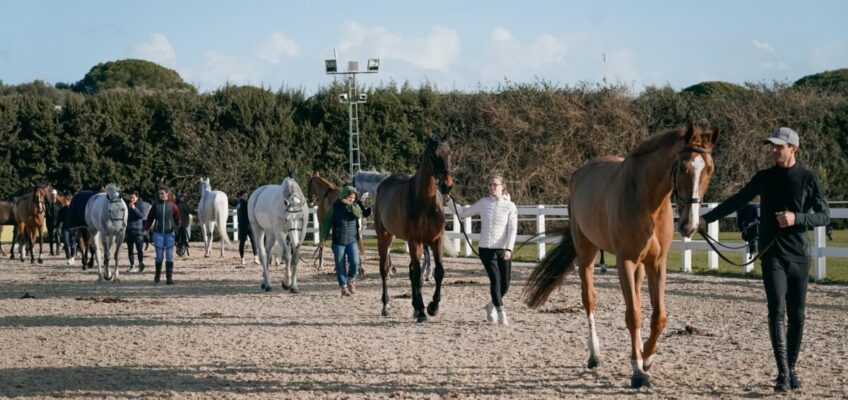 Warnung vor Sturm und Starkregen: Zwangspause bei der Sunshine Tour