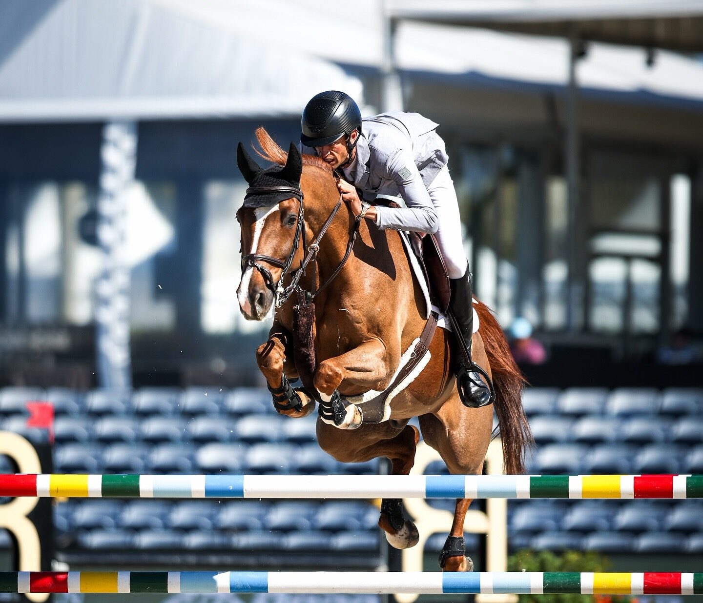 Rene Dittmer & Cody glänzen auf Platz zwei im Hauptpspringen in Wellington