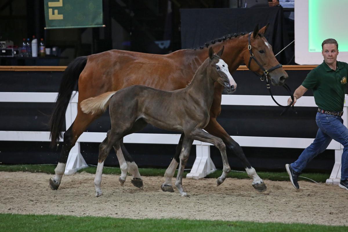 Frank van Eijkelenburg: „Flanders setzt auf Qualität, ich auch.“