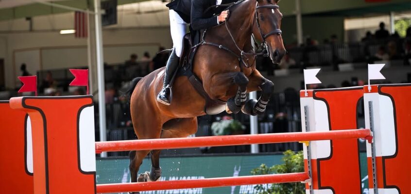 Richard Vogel überflügelt Konkurrenz im National Grand Prix in Wellington