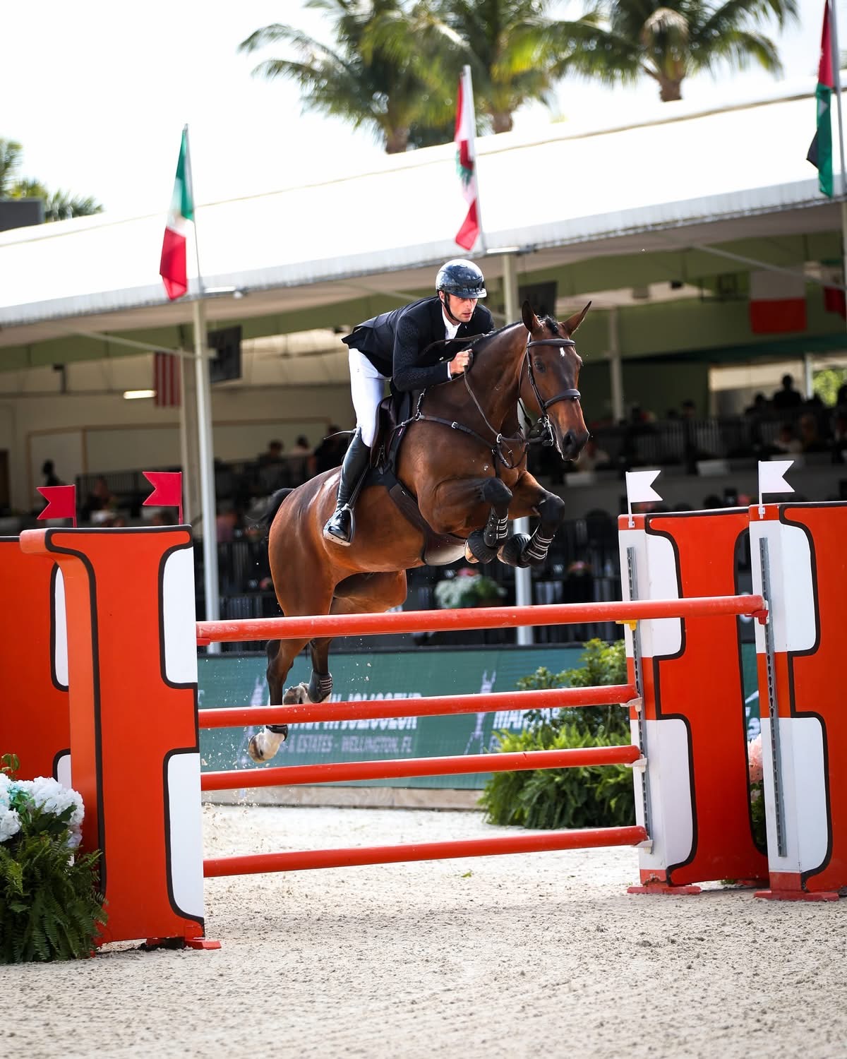 Richard Vogel überflügelt Konkurrenz im National Grand Prix in Wellington