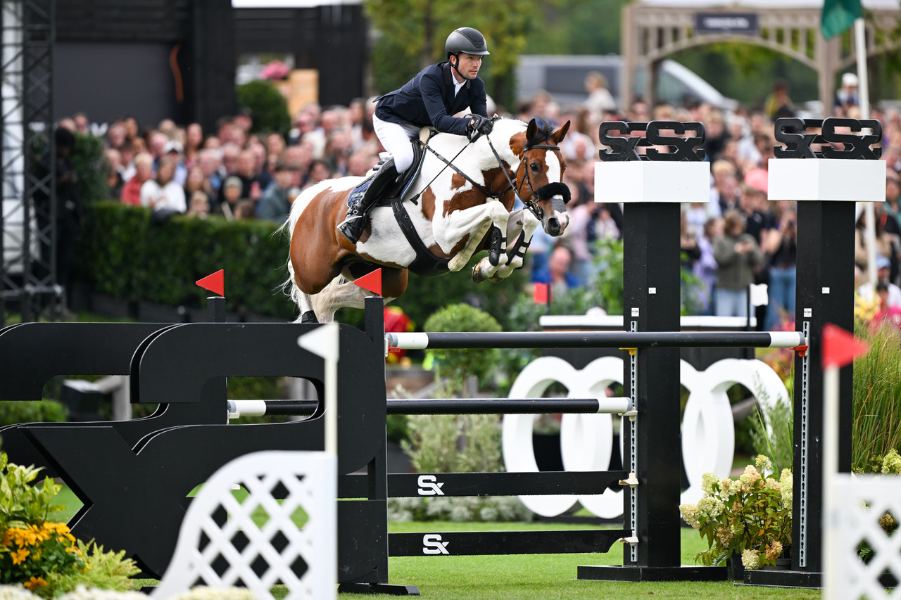 New: Flanders Embryo Auction heads to Spain