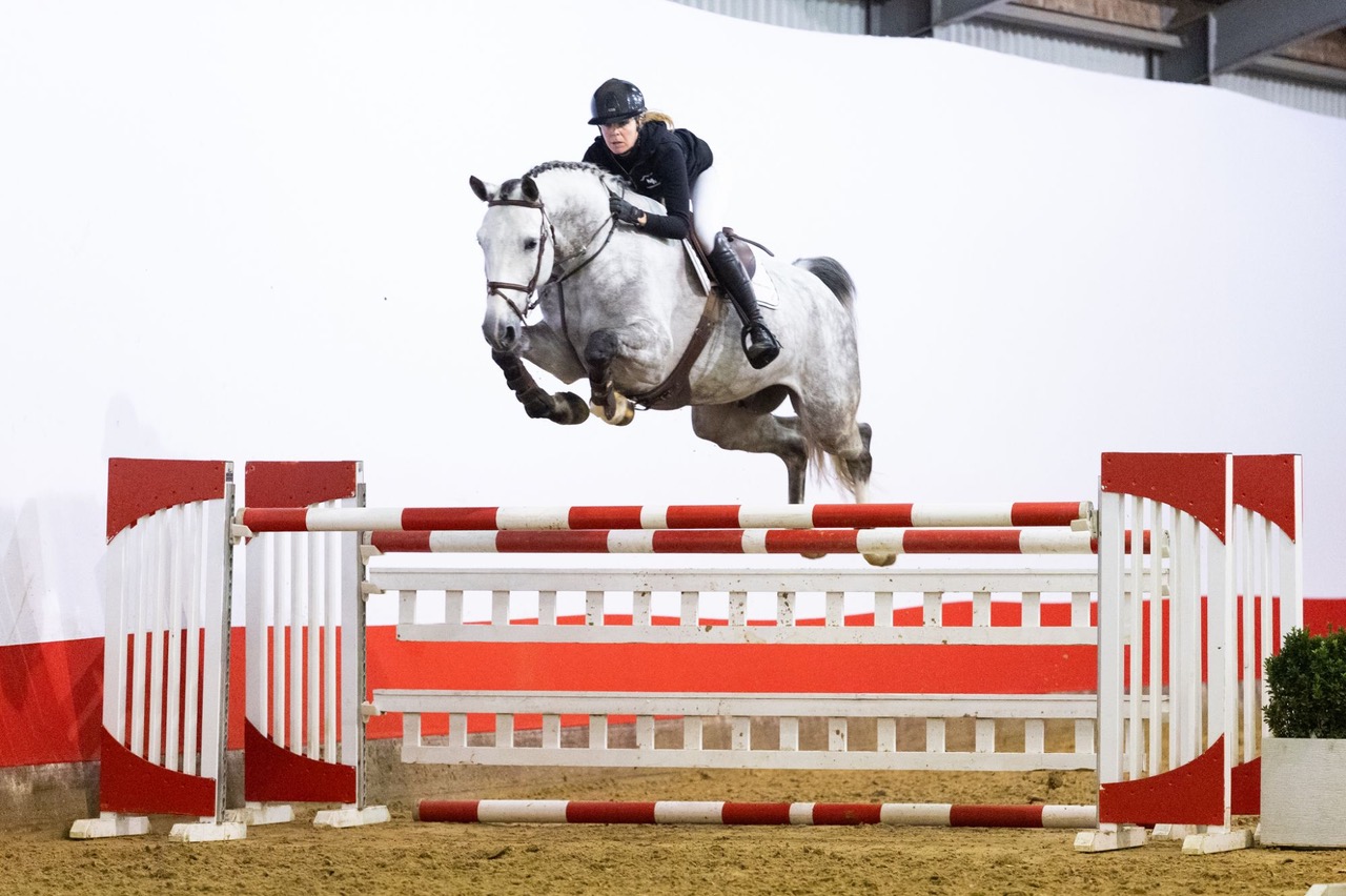 Cupid strikes at Youhorse.auction: Two Valentine’s highlights sell for €60,000