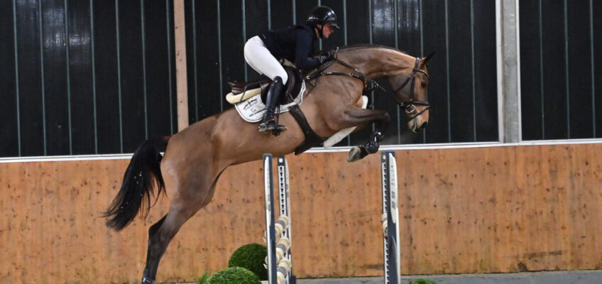 Preisspitze der Schockemöhle Online Auktion bleibt für 96.000 € in Deutschland