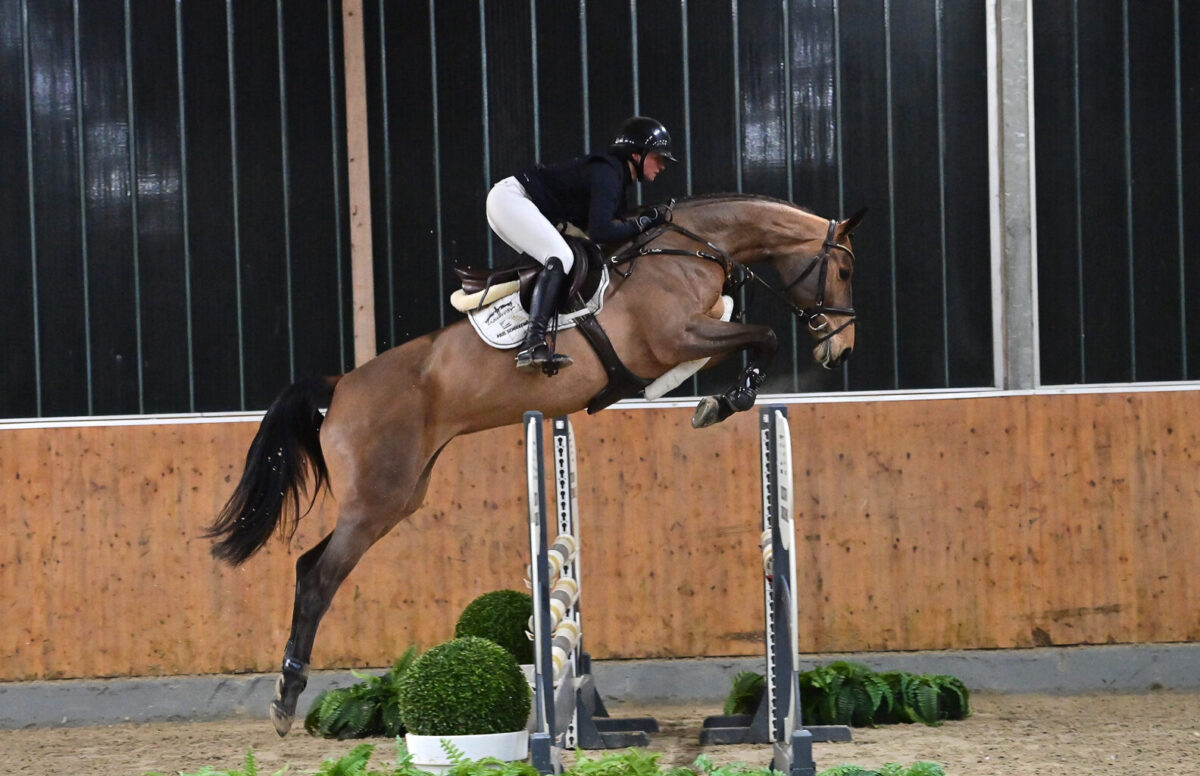 Preisspitze der Schockemöhle Online Auktion bleibt für 96.000 € in Deutschland