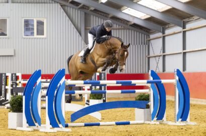 Neue Juwelen in der Youhorse.auction-Kollektion