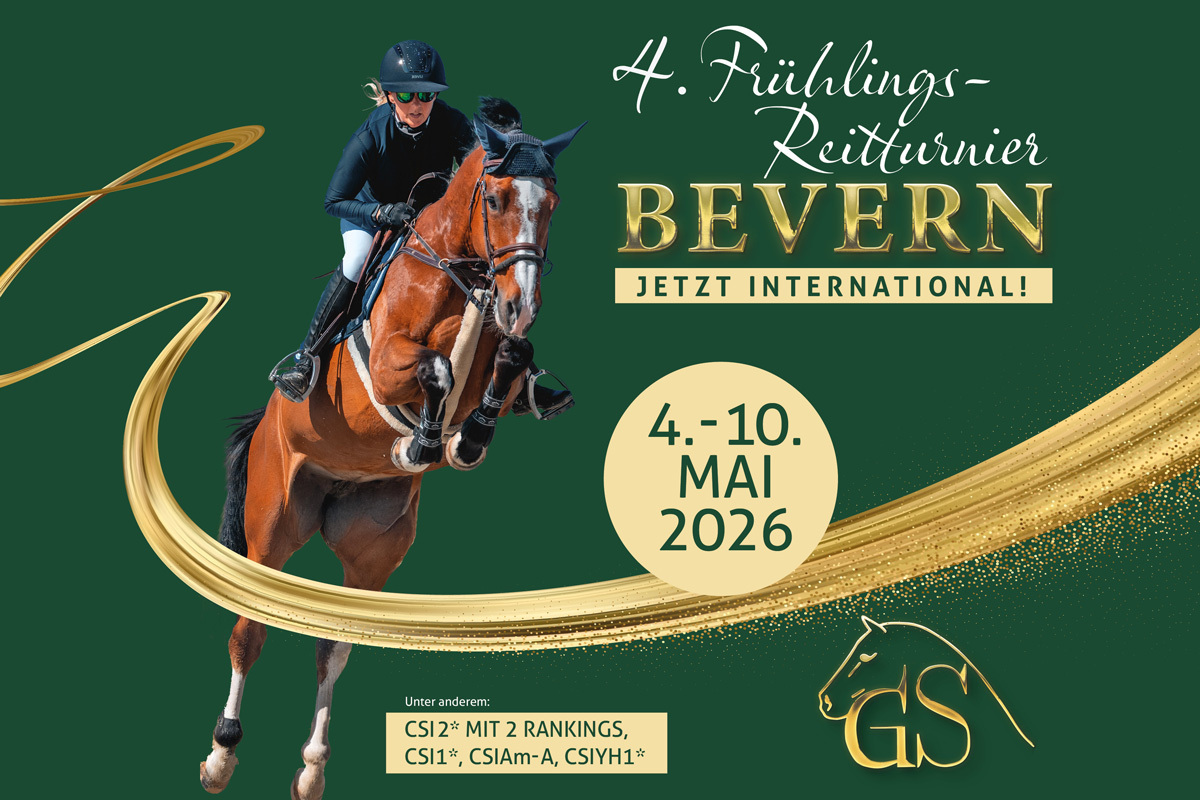 Internationales Frühlingsreitturnier in Bevern: So gelingt der Einstieg für Reiter Schritt für Schritt