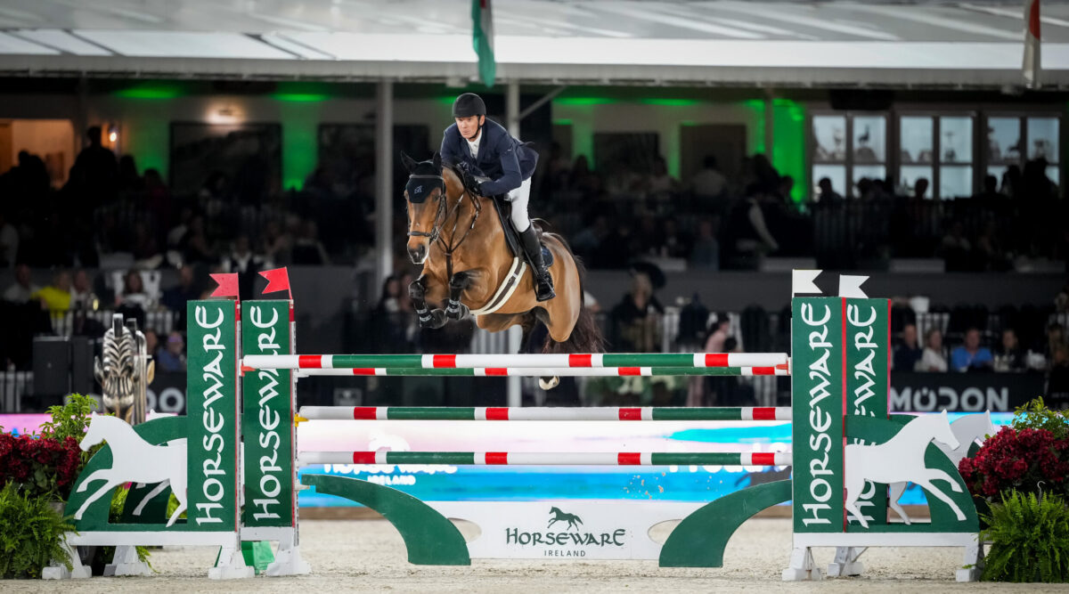 Beat Mändlis Qoachella siegt im Großen Preis von Wellington