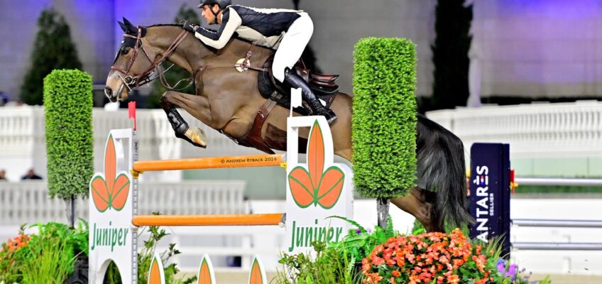 „Er ist ein Familien-Pferd“ – Nicola Philippaerts triumphiert im 200.000 Dollar Grand Prix in Ocala – André Thieme und Paule S werden Vierte