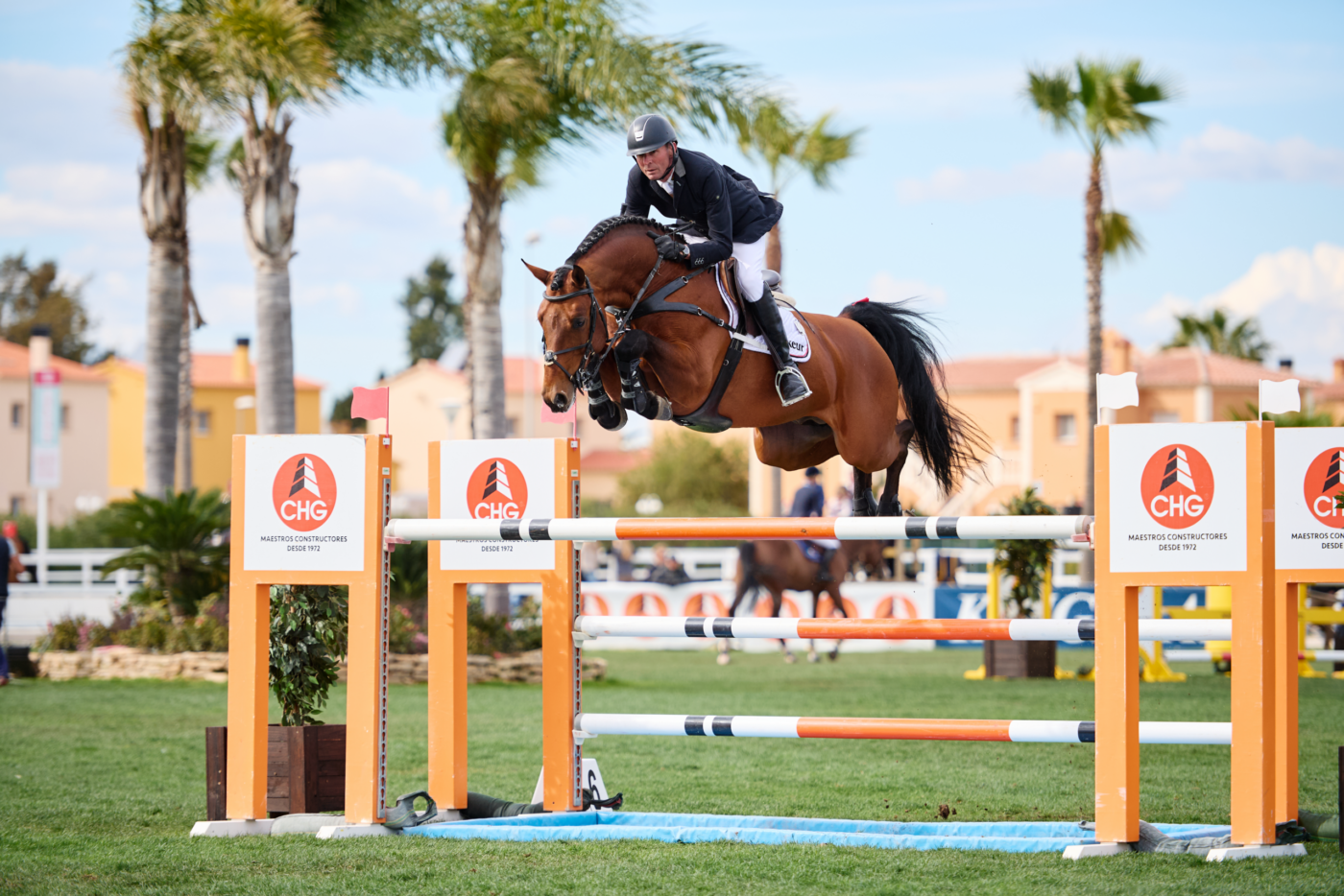 Lord Fauntleroy: Ein Stempelhengst mit exklusiven Genen und Champion-Blut