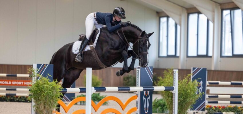 World Sport Horse Sales celebrates a new record with two top sellers for 370.000 dollar