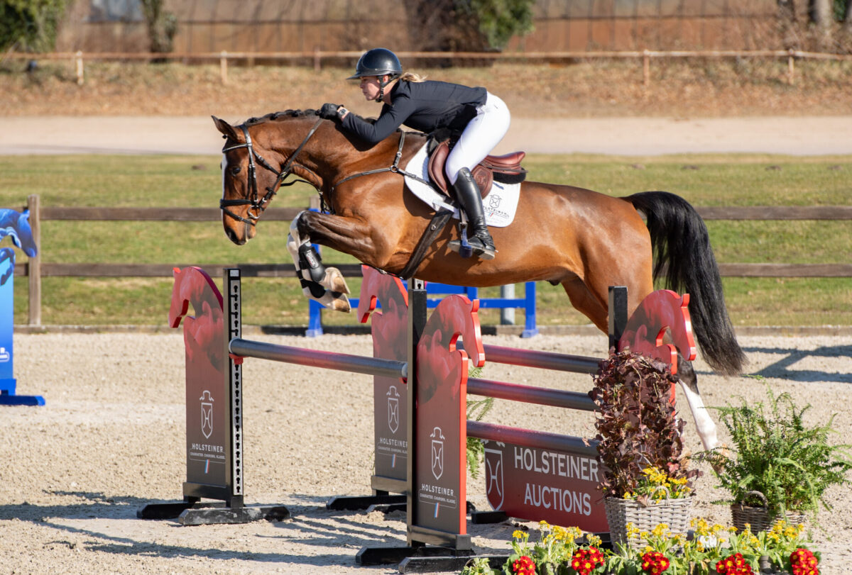 Holsteiner Frühjahrsauktion am 17. April: Qualität & Perspektive für Sport und Zucht