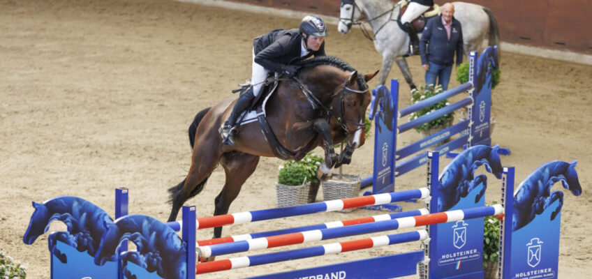 Seite an Seite: Privat- und Verbandshengste mit gemeinsamer Hengstschau