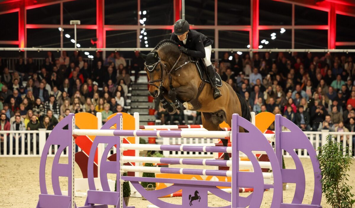 Internationales Hengstlot aus Spring- und Dressurpferdezucht in Klein Roscharden