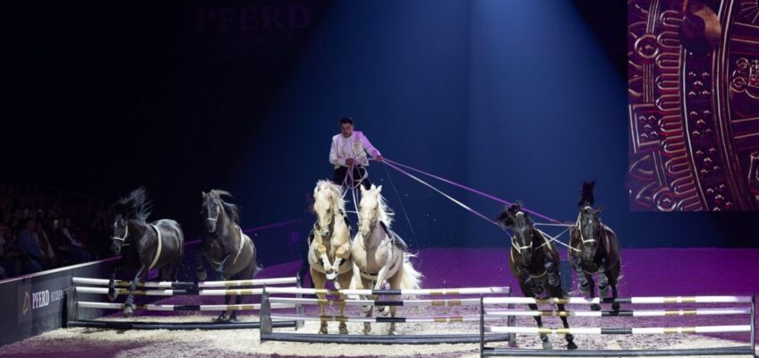 20 Jahre, eine Bühne: Horses & Dreams erzählt seine Geschichte als große Abendshow