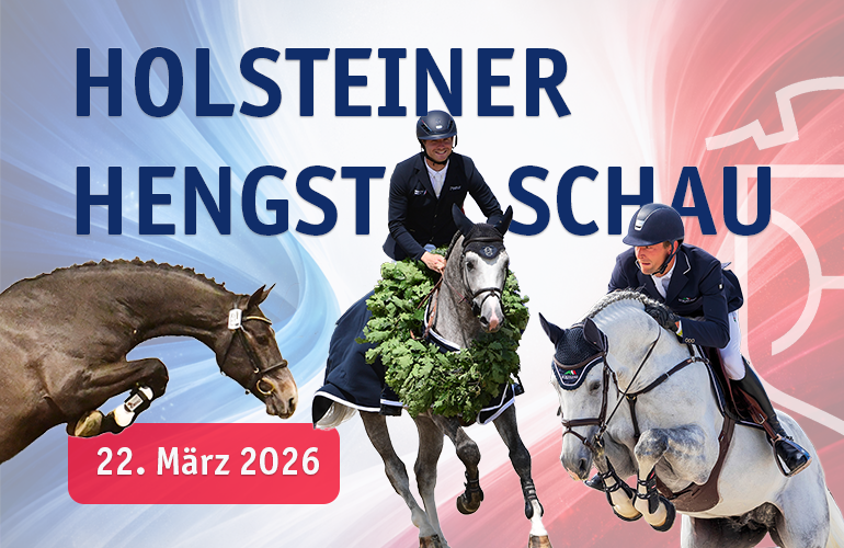 Von Stallgassenschnack bis Sport: Hengstschau beim Holsteiner Verband