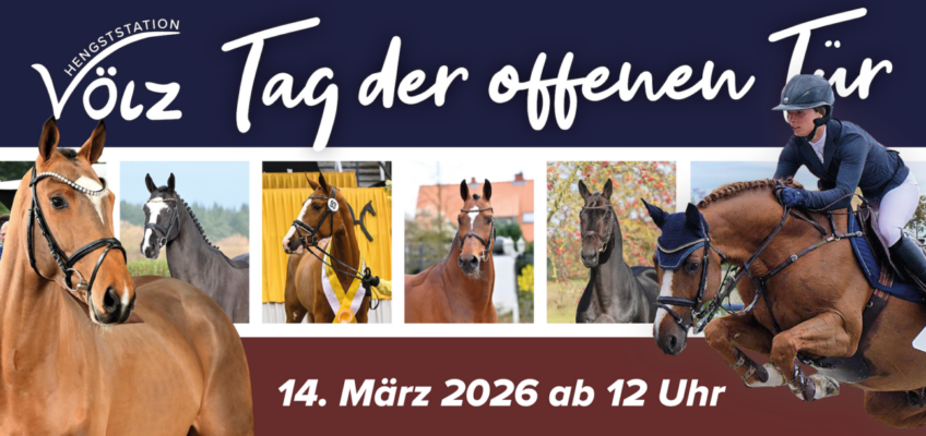 Tag der offenen Tür auf der Hengststation Völz