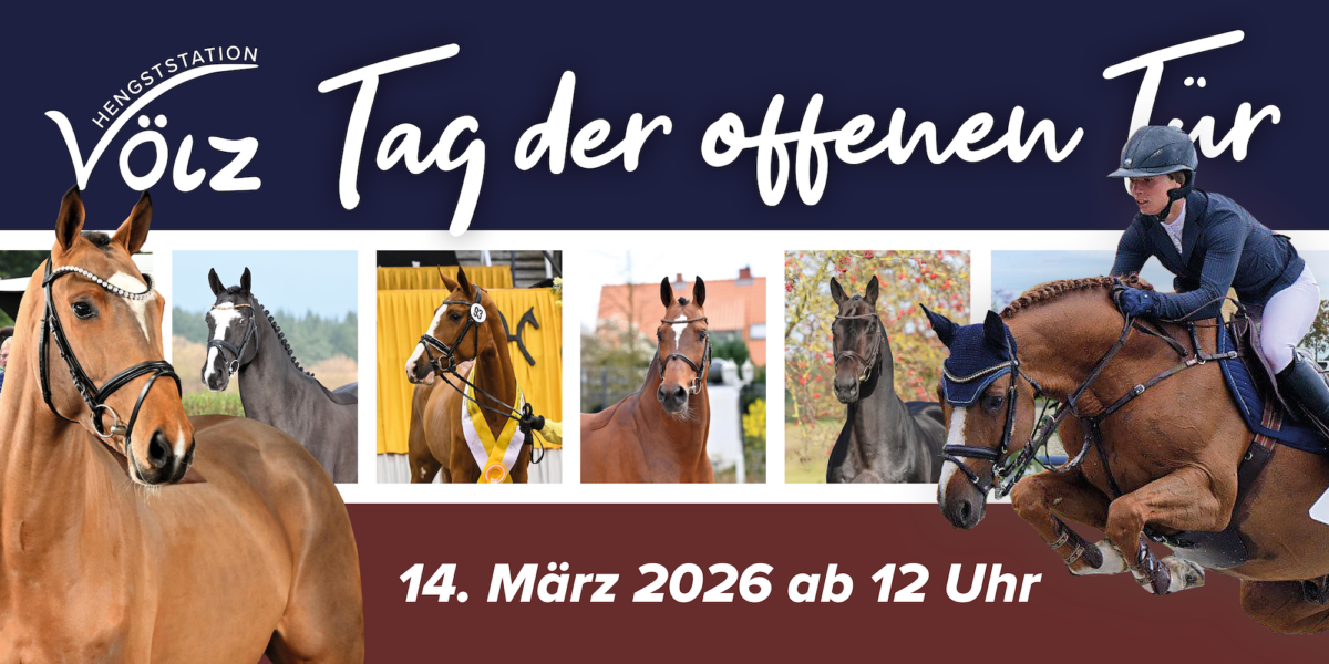 Tag der offenen Tür auf der Hengststation Völz