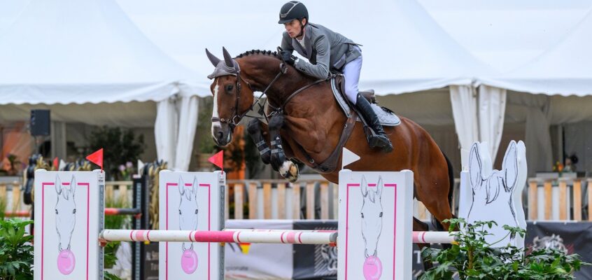 „Youngster of the Year“: Sonderwertung für Springpferde geht auch in 2026 weiter