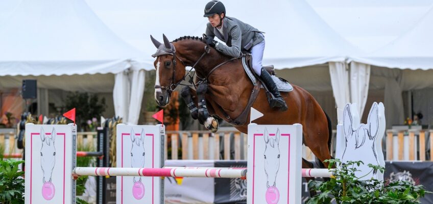 „Youngster of the Year“: Sonderwertung für Springpferde geht auch in 2026 weiter