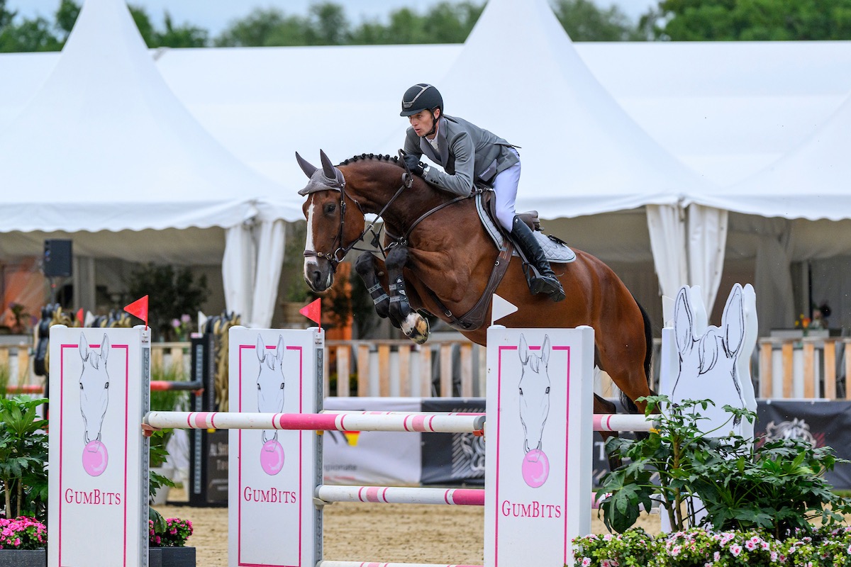 „Youngster of the Year“: Sonderwertung für Springpferde geht auch in 2026 weiter