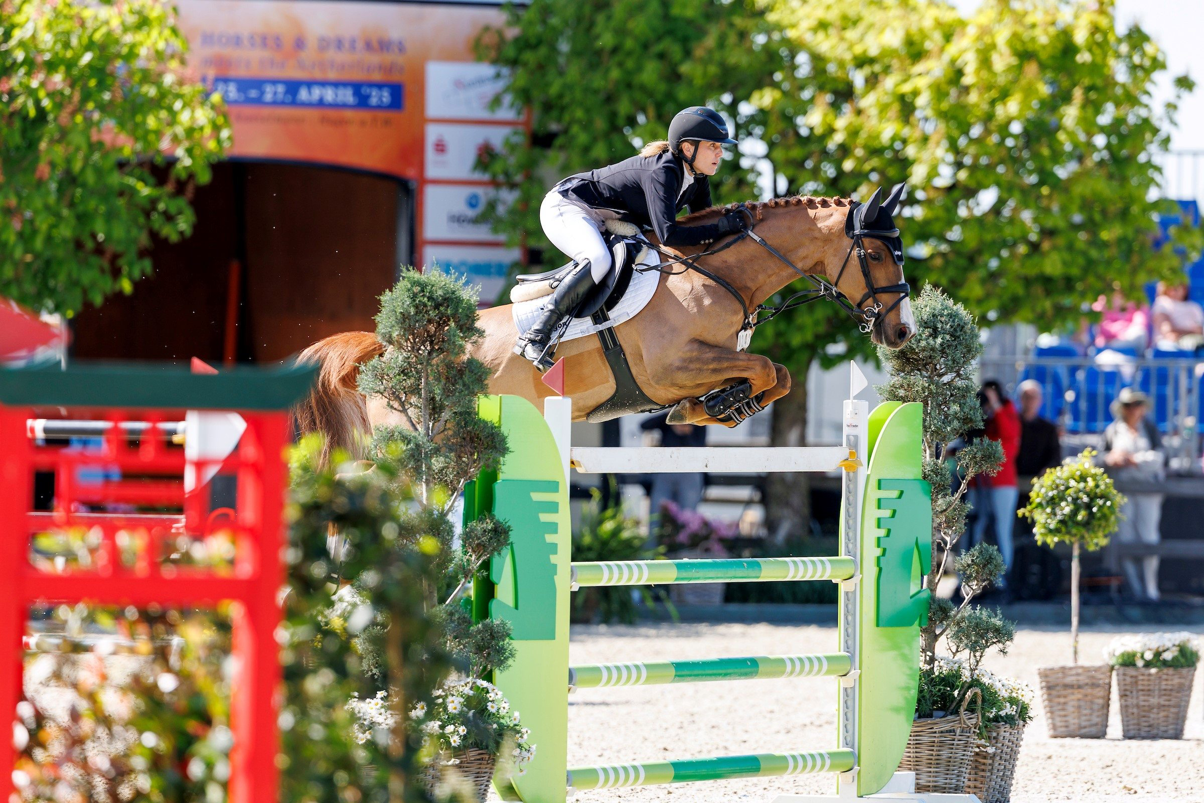 Horses & Dreams: Wiedersehen der starken Frauen