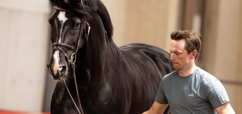 Nach Vet-Check: Die deutschen Springpferde sind fit to compete für das Weltcup-Finale in Fort Worth