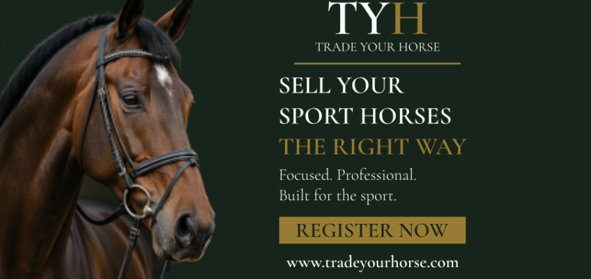 spring-reiter.de präsentiert: TradeYourHorse – der Marktplatz für außergewöhnliche Sportpferde