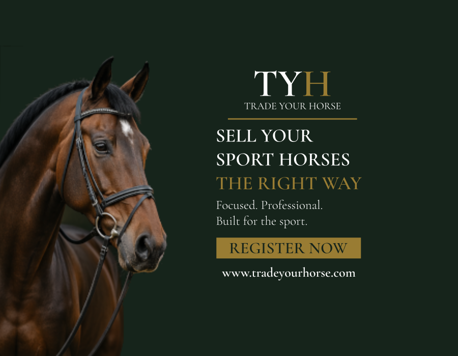 spring-reiter.de präsentiert: TradeYourHorse – der Marktplatz für außergewöhnliche Sportpferde