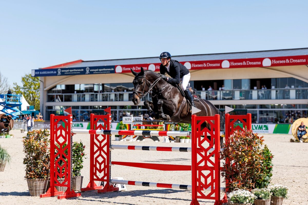 Horses & Dreams 2026: Nationale Serien mit Tiefe und Perspektive