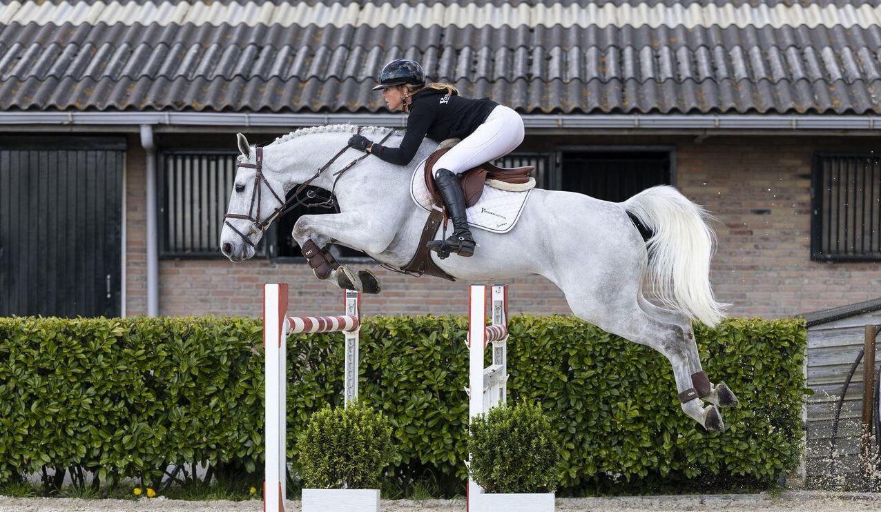 Youhorse.auction bietet für diesen Sommer einzigartige Gelegenheiten