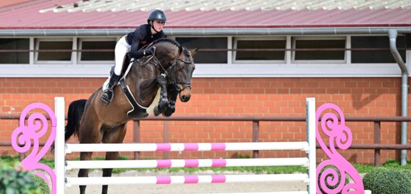 Für 135.000 €: Preisspitze bei Schockemöhle Online Auktion bleibt in Deutschland