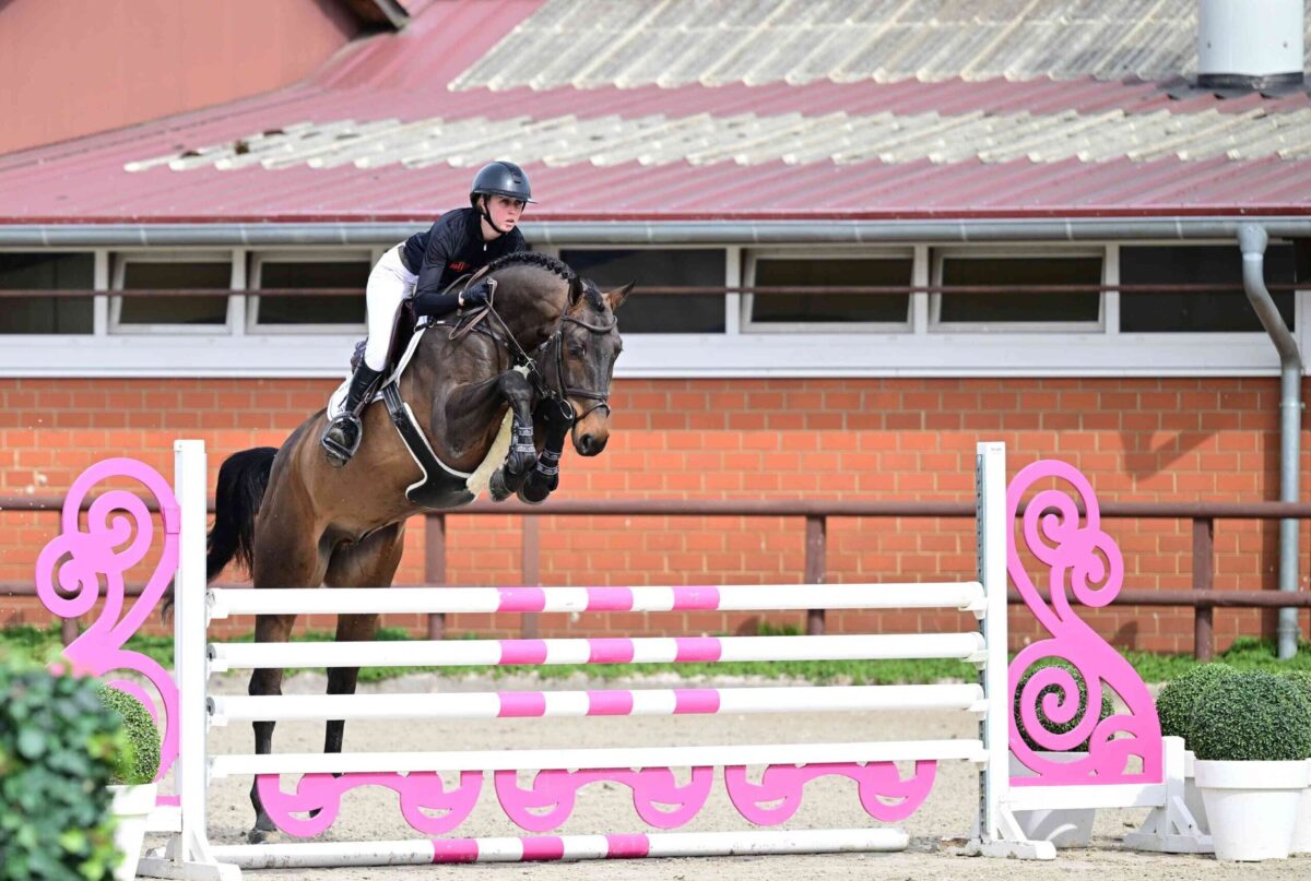 Für 135.000 €: Preisspitze bei Schockemöhle Online Auktion bleibt in Deutschland