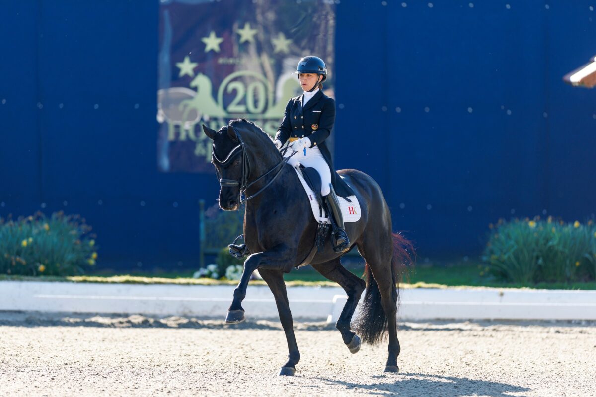 Starker Auftakt in Hagen: Youngster-Cup und Drei-Sterne Grand Prix eröffnen Horses & Dreams