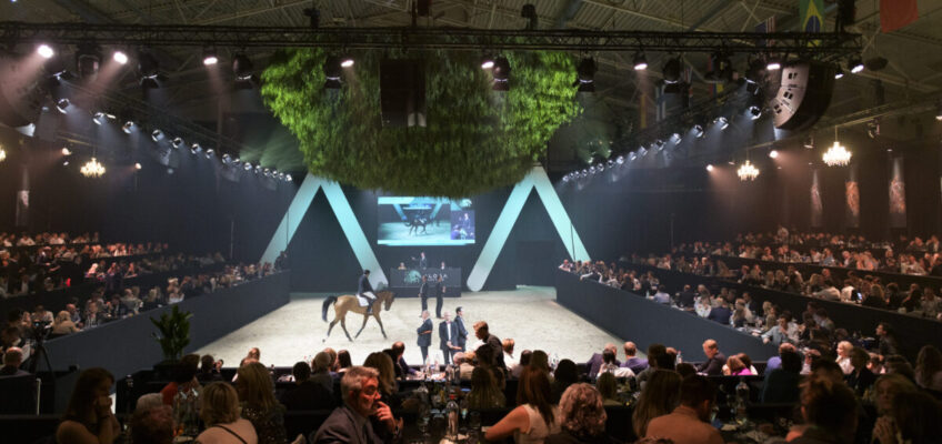 Aloga Auction returns for its highly anticipated sixth edition