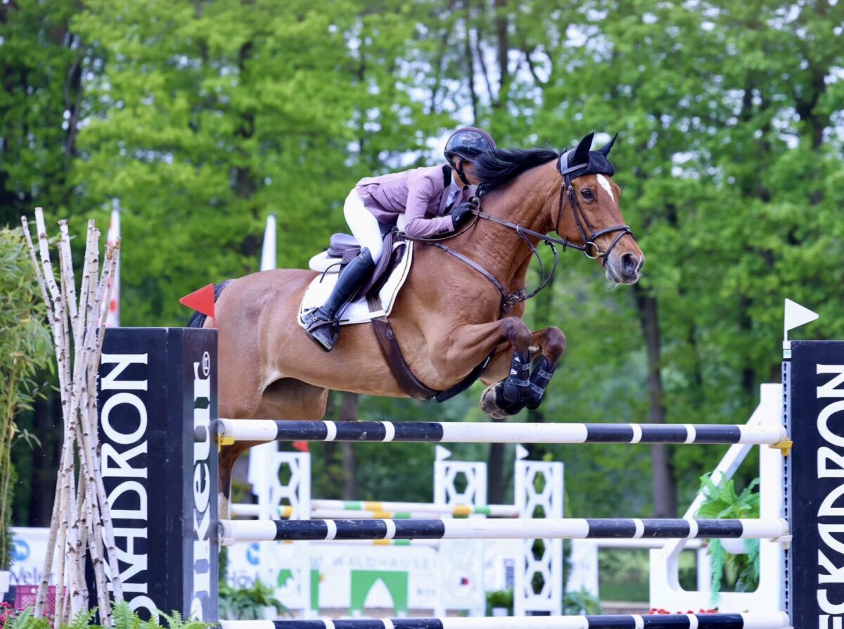 Deutsche Siegesserie in Zuidwolde geht weiter: Mary-Ann Hollenbach gewinnt Grand Prix der Children