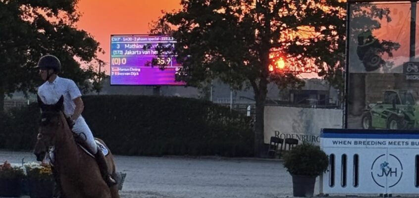 Der Hitze trotzen: Prüfungsstart um 5.30 Uhr beim belgischen CSI3* Wuustwezel