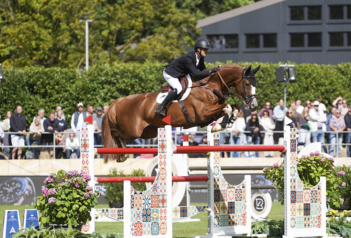 Nach Verletzung: Gilles Thomas und Ermitage Kalone verzichten auf ihre Teilnahme bei der WM in Aachen