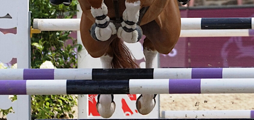 Die Reiter werden im November engagiert: Erstes Team der neuen Premier Jumping League für 50 Millionen $ verkauft