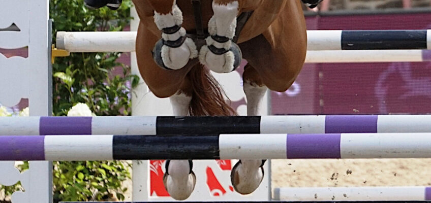 Die Reiter werden im November engagiert: Erstes Team der neuen Premier Jumping League für 50 Millionen $ verkauft