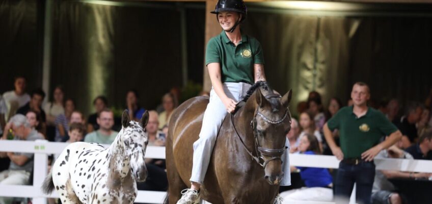 17 Länder kaufen Fohlen bei der zweiten Flanders Foal Auction des Jahres