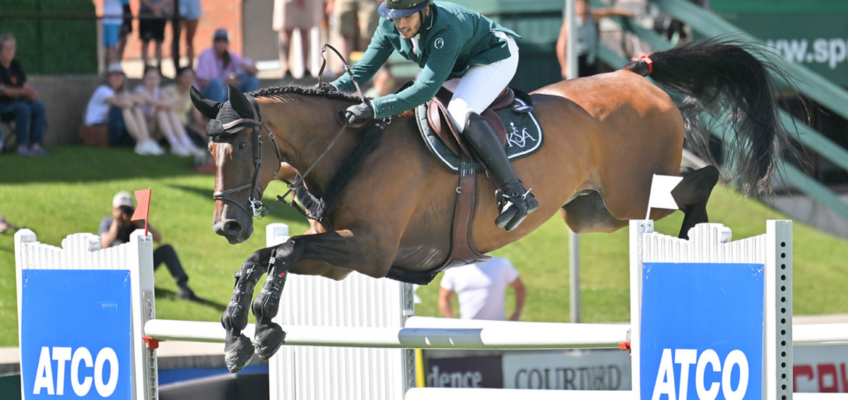 Hannoveraner Ventago gewinnt 1 Million Dollar in Spruce Meadows