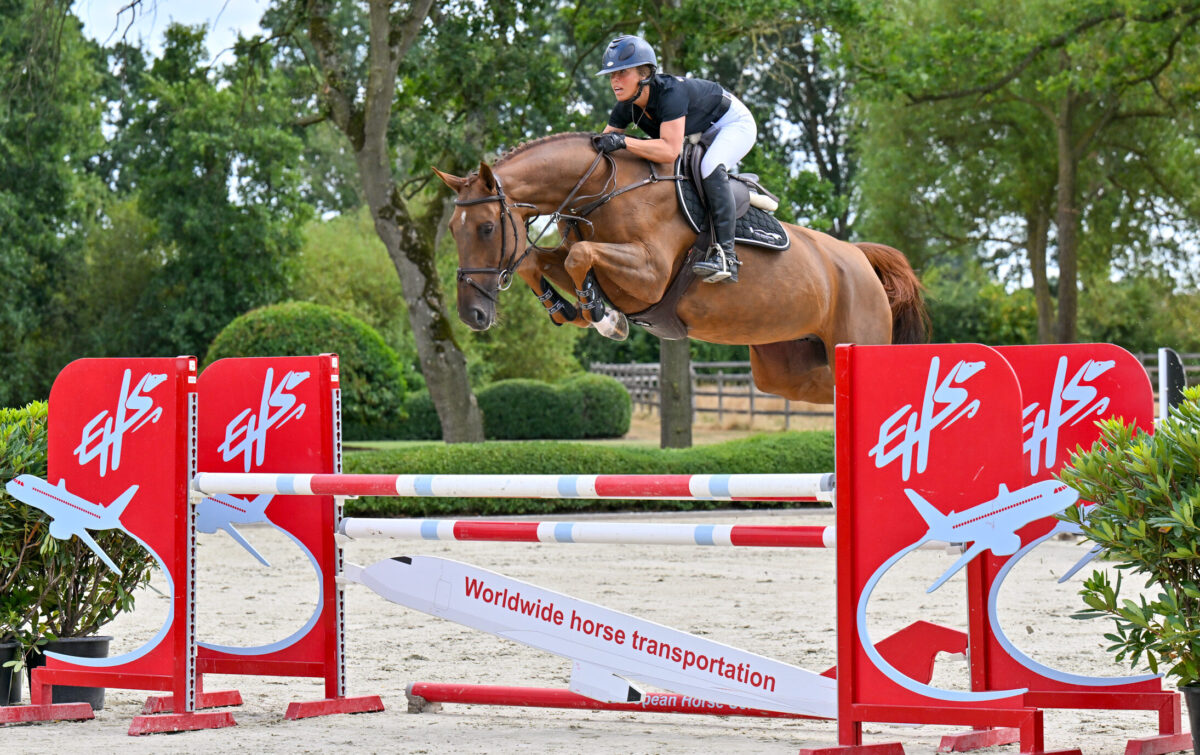 1.50m performing sister to United Touch ‘S’ & 1.60m GP performing jumper … on top exceptional pedigrees … Equbreeding.auction will bring you around the world