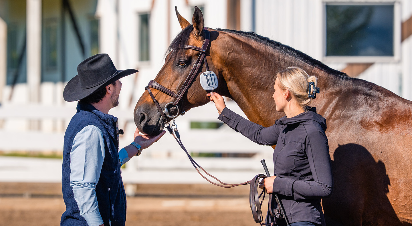 Von vorqualifizierten Reitern und einem 1 Million Euro Bonus: Heute beginnen die CSIO5* Spruce Meadows „Masters“
