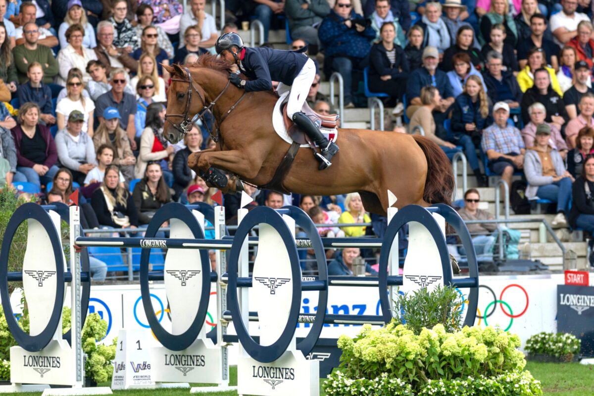 100 horses at the 31st NASH Elite Auction on October 6th and 7th, 2026
